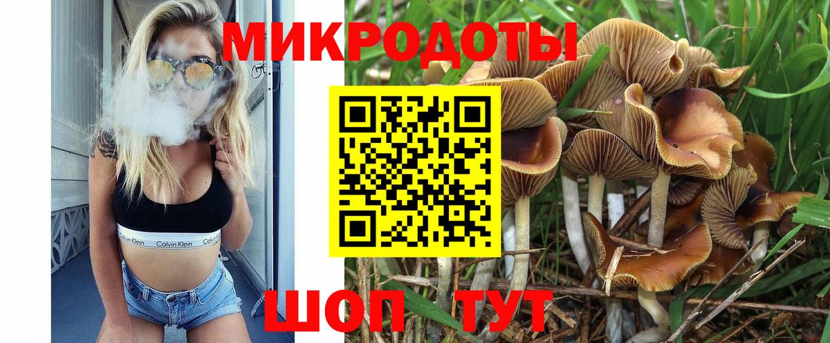 Галлюциногенные грибы прущие грибы Гудермес