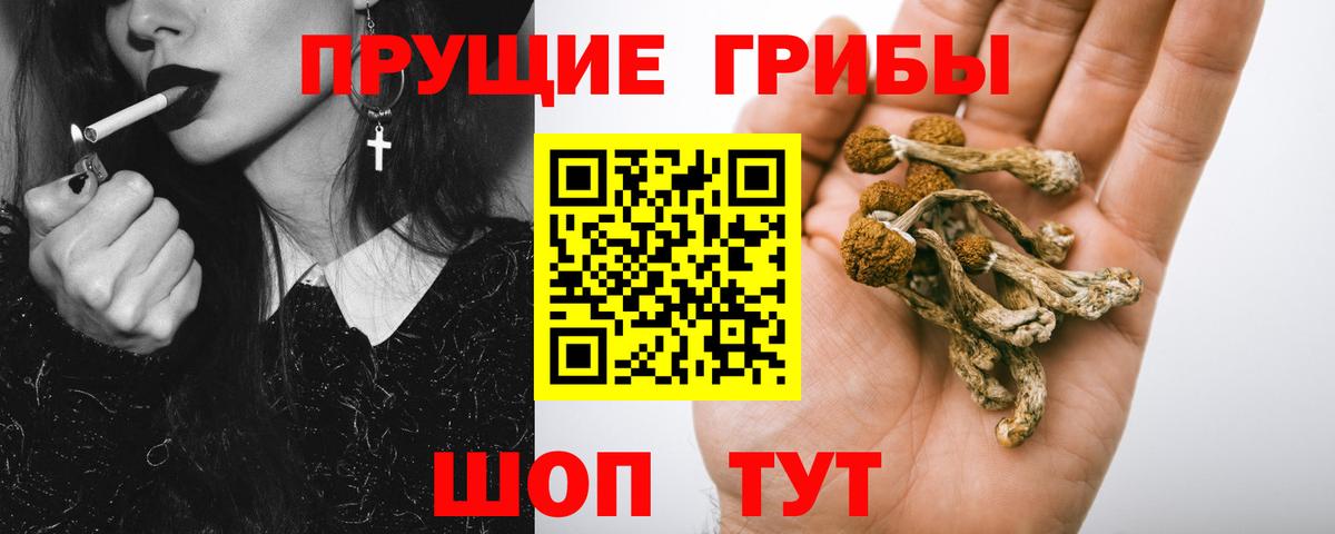 Гудермес  Псилоцибиновые грибы GOLDEN TEACHER  Вход с VPN 